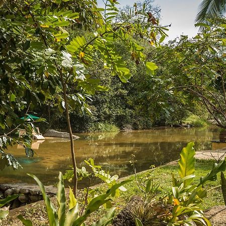 Villa Azalea Inn & Organic Farm JALISCO Ngoại thất bức ảnh