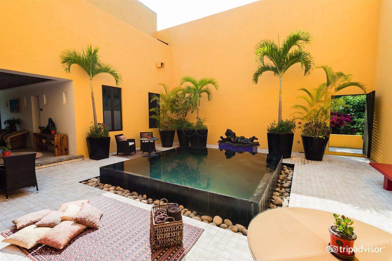 Villa Azalea Inn & Organic Farm JALISCO Ngoại thất bức ảnh
