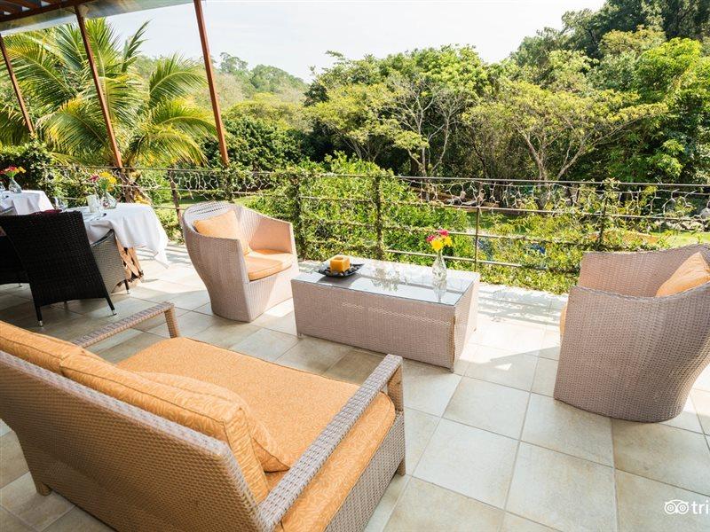Villa Azalea Inn & Organic Farm JALISCO Ngoại thất bức ảnh