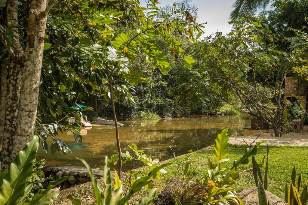Villa Azalea Inn & Organic Farm JALISCO Ngoại thất bức ảnh