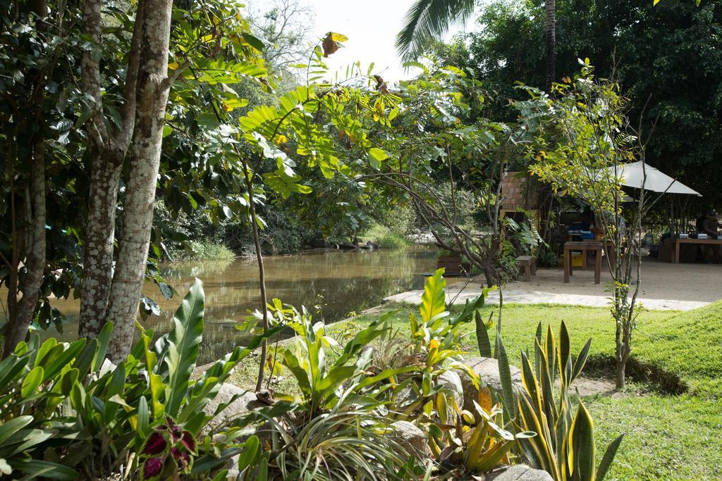 Villa Azalea Inn & Organic Farm JALISCO Ngoại thất bức ảnh