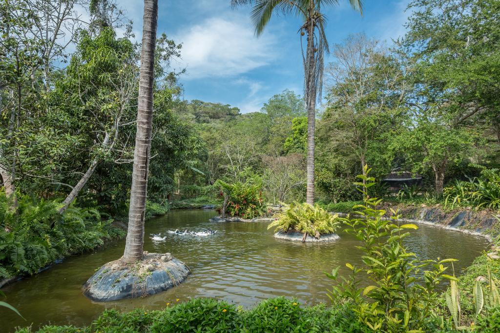 Villa Azalea Inn & Organic Farm JALISCO Ngoại thất bức ảnh