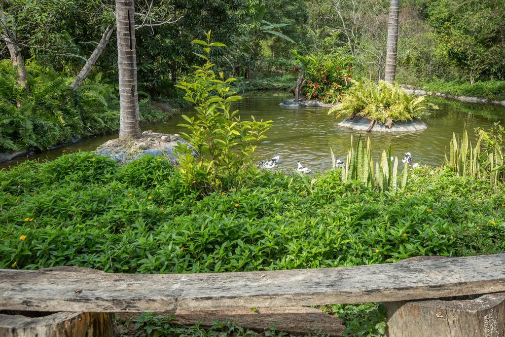 Villa Azalea Inn & Organic Farm JALISCO Ngoại thất bức ảnh