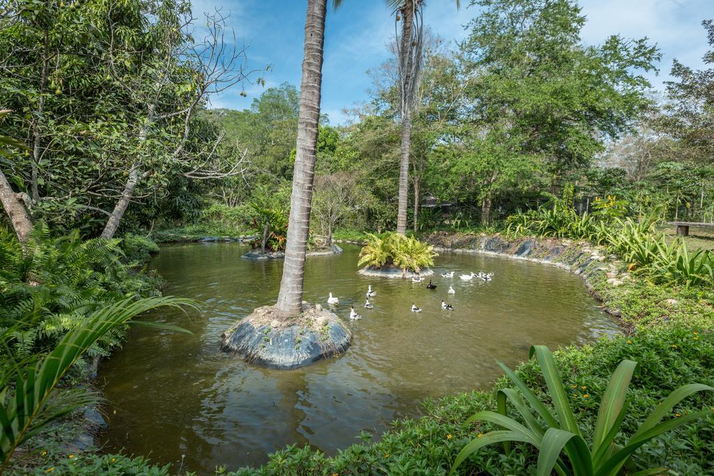 Villa Azalea Inn & Organic Farm JALISCO Ngoại thất bức ảnh