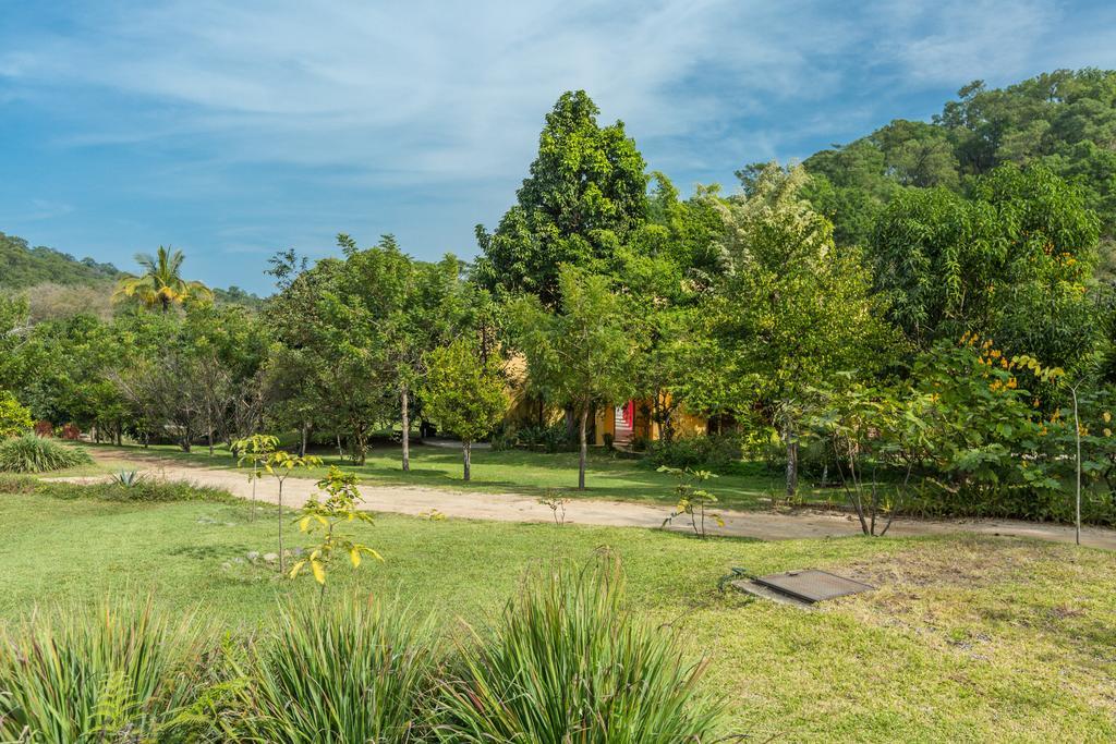 Villa Azalea Inn & Organic Farm JALISCO Ngoại thất bức ảnh