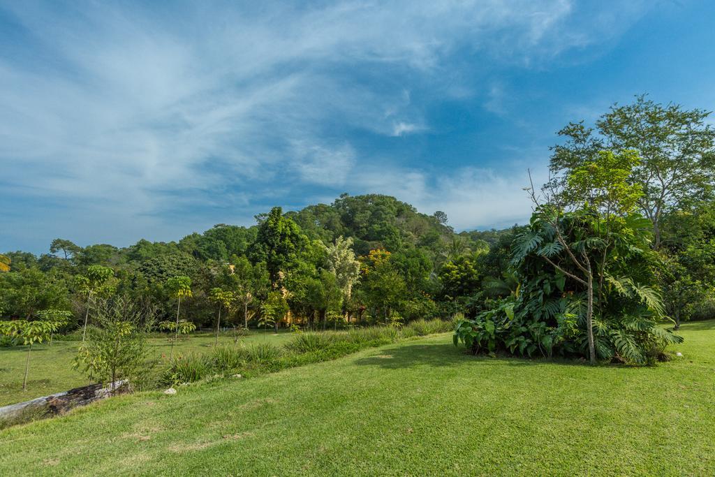 Villa Azalea Inn & Organic Farm JALISCO Ngoại thất bức ảnh