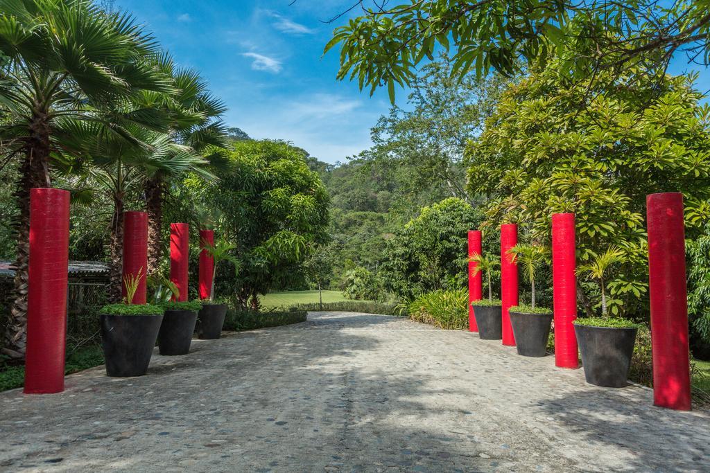 Villa Azalea Inn & Organic Farm JALISCO Ngoại thất bức ảnh