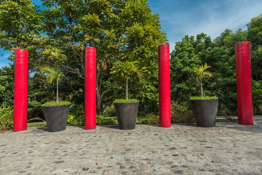 Villa Azalea Inn & Organic Farm JALISCO Ngoại thất bức ảnh