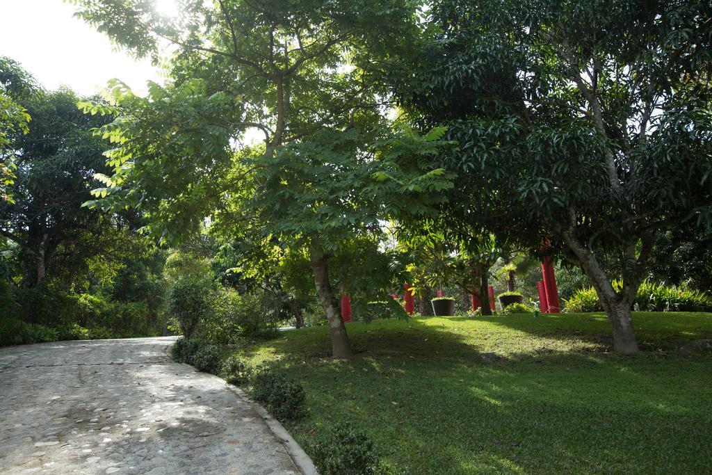 Villa Azalea Inn & Organic Farm JALISCO Ngoại thất bức ảnh