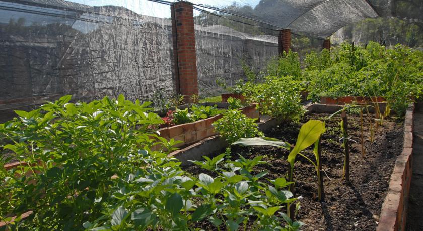 Villa Azalea Inn & Organic Farm JALISCO Ngoại thất bức ảnh
