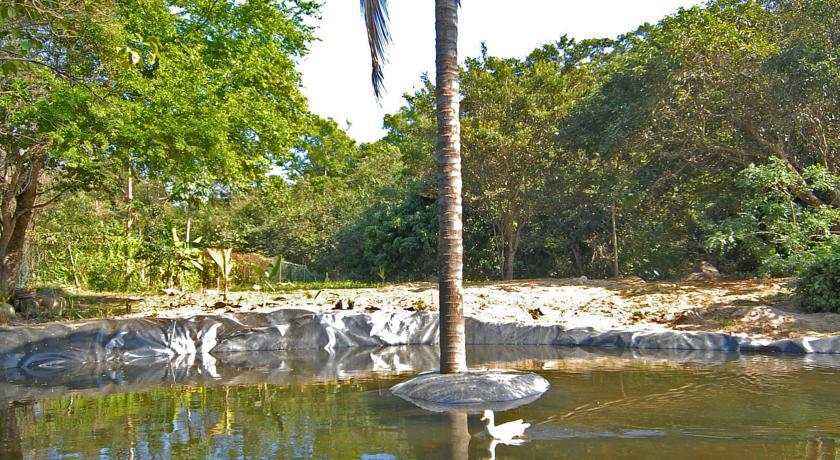 Villa Azalea Inn & Organic Farm JALISCO Ngoại thất bức ảnh